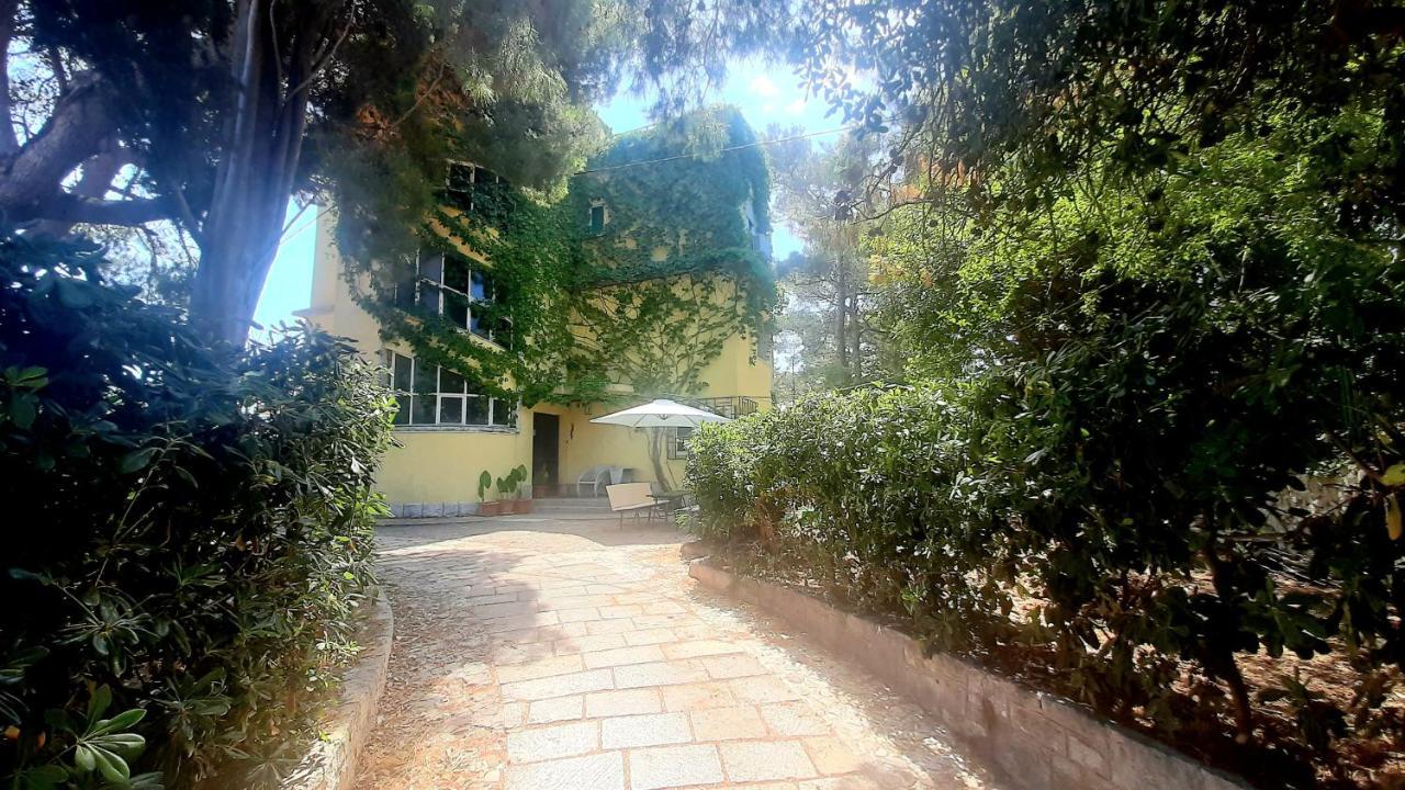 ספליט Old Captain'S Apartments - In A Pine Wood By The Sea And Tennis Courts מראה חיצוני תמונה