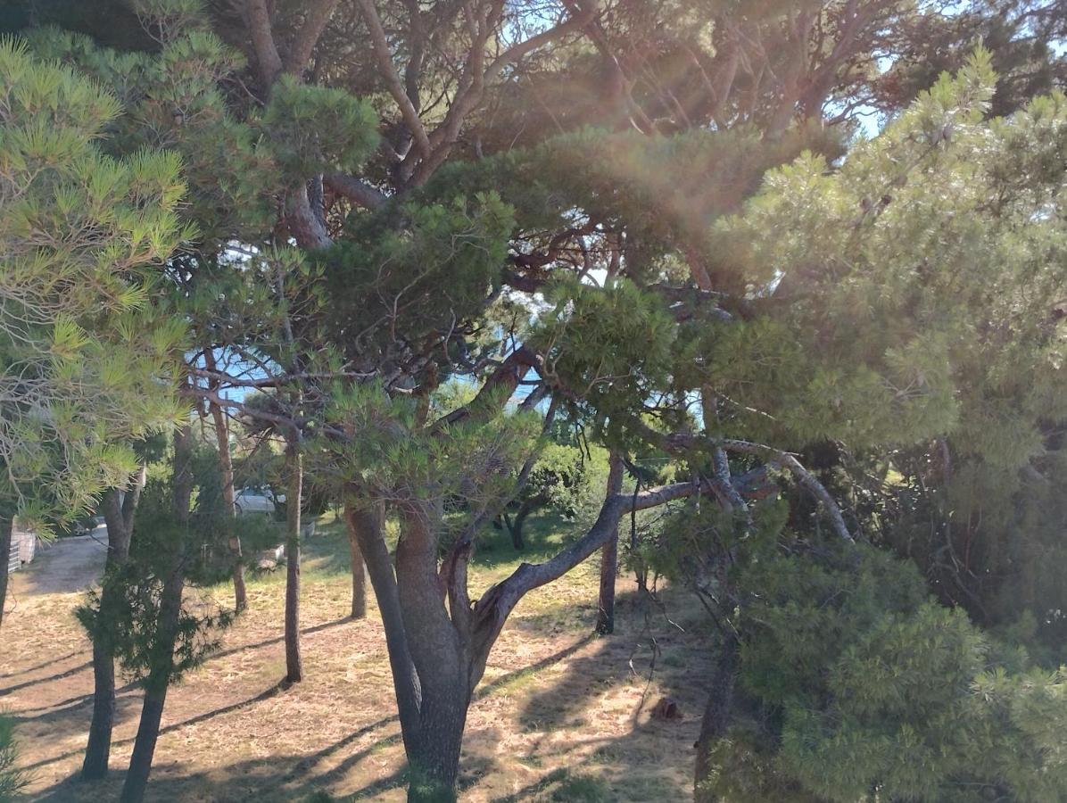 ספליט Old Captain'S Apartments - In A Pine Wood By The Sea And Tennis Courts מראה חיצוני תמונה
